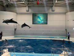 -鹿儿岛水族馆