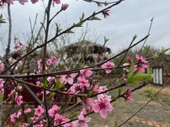 -武汉紫薇都市田园