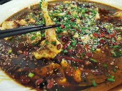 来凤鱼-瓦房兔(璧山店)