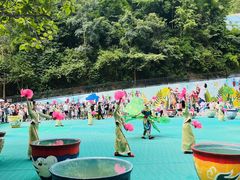 -西双版纳原始森林公园
