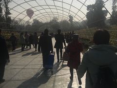 -秀丽东方