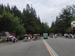 -日照海滨国家森林公园