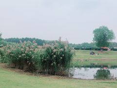 -钟山体育运动公园