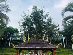 -西双版纳勐泐文化旅游区