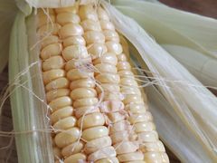 -合利屋(三元桥店)