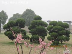 绿光农场照片 006-苏州太湖西山岛开心农场