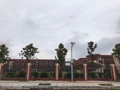 -南昌市育新学校(九龙湖新城分校)