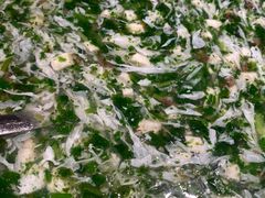 -嘉禾·悦享餐厅(八方汇店)