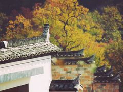 -塔川景区