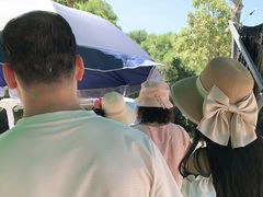 -广东惠东海龟国家级自然保护区