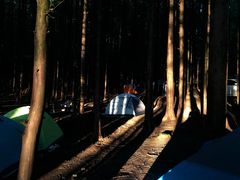 -山王坪喀斯特国家生态公园