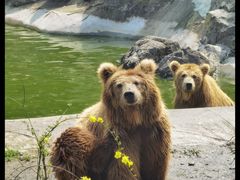 -宁波野生动物园
