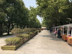 -溱湖国家湿地公园