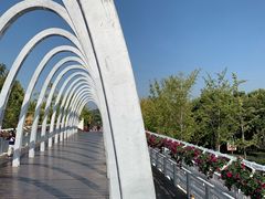 -大兴滨河森林公园