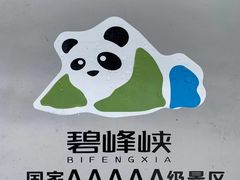 -中国大熊猫保护研究中心雅安碧峰峡基地