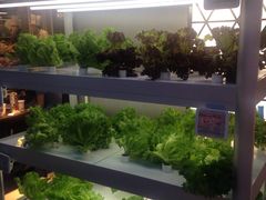 -盒马鲜生(大成店)