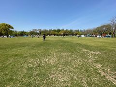-上海滨江森林公园
