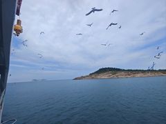 -海驴岛(荣成市)