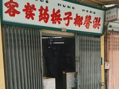 -洪馨椰子