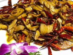 -滇铺子·云南特色菜·第九届野生菌美食节(东风东路c86店)
