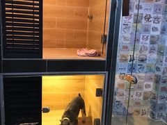 -宠物之家Pets Home 宠物寄养酒店