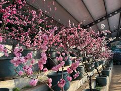-红螺寺
