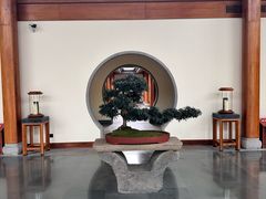 -腾冲和顺柏联酒店