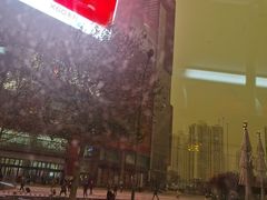 -APM Monaco(朝阳大悦城店)