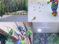 -中集金地美兰城