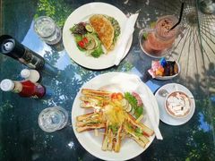 -Fern Forest Cafe