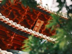 -佛山市祖庙博物馆