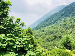 -南岳衡山风景名胜区