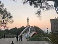 -金鸡山公园