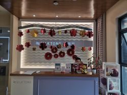 -SILKTONE诗丽堂美容