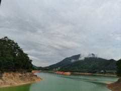 -广州市流溪河国家森林公园