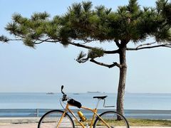 -养马岛旅游度假区