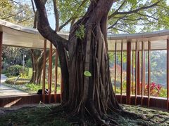 -云溪植物园