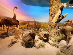 -国家自然博物馆