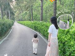 -合肥滨湖国家森林公园