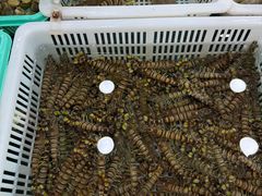 -丽华家常菜(北马路店)