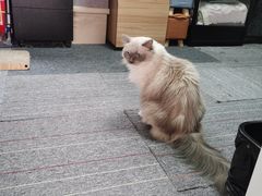 -零纪元VR体验馆·桌游(黄浦店)