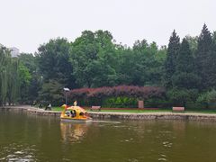 -团结湖公园