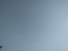 -咸阳湖景区-统一广场