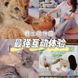 江浙沪周边游🐯宁波雅戈尔动物园互动全攻略