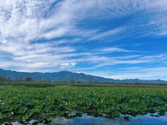 -野鸭湖国家湿地公园