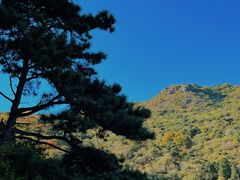 -香山公园