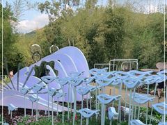 -深圳仙湖植物园