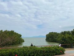 -深圳湾公园(南山区)