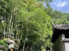 -天一阁博物院