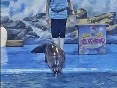 -左海海底世界